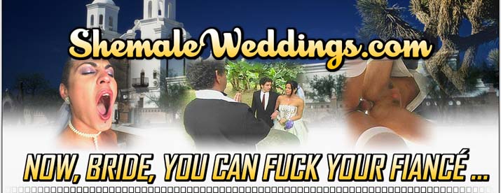 Shemale Weddings Clips 79